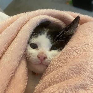 Meet your Posher, Ethan